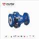 PTFE Lined Swing Check Valve