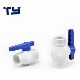 Plastic (UPVC/PVC/ CPVC /PPR) and Ball Valve with Pn10 /Pn16/ ASTM Standard