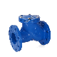 Forede 6 Inch Ductile Iron Ball Float Check Valve Pn16