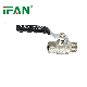  Ifan Black Handle Brass Ball Valve 81065 Male Thread Brass Ball Valve