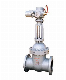 Economic Metal Valve Wedge Gate Valve with Electric Actuator