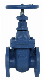 Pn25 Cast Iron Gate Valve Non Rising Stem