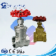  Stainless Steel NPT/BSPT/BSPP Non Rising Thread Water Gate Valve