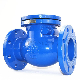  ANSI 125 150 Blue Ductile Iron Epoxy Swing Type Double Check Valve