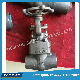  Forged Steel Gate Valve