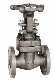  Forged Steel Flange End Gate Valve