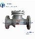  GB Pn16-40 Carbon Steel Flanged Swing Check Valve Wcb/CF8/CF8m