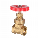 OEM Shut off 22mm Cw617n Forged Brass Gate Valve