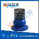  Check and Foot Valve