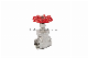 Stainless Steel Internal Thread Stop Valve Handwheel Gate Water Pipe Pump Check Valve