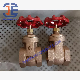  API/DIN/GOST Brass/ Aluminum Bronze/Copper Material Stem Flanged NPT Threaded Gate Valve