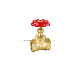 Brass Stop Globe Valve with Loose Joint Butterfly Handle