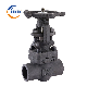  Pn25 DN8mm API602 A316L Forged Steel Thread Gate Valve