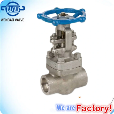 3/4" Forged Carbon Steel A105n/Lf2 Bolted Bonnet Integrated Flanged Ends Gate Valve /Globe Valve/Check Valve 800lb