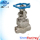 3/4" Forged Carbon Steel A105n/Lf2 Bolted Bonnet Integrated Flanged Ends Gate Valve /Globe Valve/Check Valve 800lb