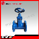 Awwa/DIN/ANSI/Mssp Cast/Ductile Iron Various Kinds Gate Valve for Rubber/Metal Seated