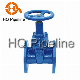 DIN Standard Resilient-Seated Gate Valves