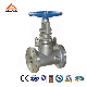  Insulation Steam Jacket Gate Valve (GABZ41W)