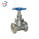 Steam Jacket Stainless Steel Industrial Gate Valve