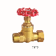 Brass One Way Gate Valve with ISO 228 Thread