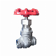  High Quality Manual Wheel Handle Threaded Type Stainless Steel Gate Valve