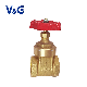 Female Thread and ISO228 Copper Brass Gate Valve (VG11.90011)