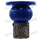 Stainless Steel Screen Non-Return Check Foot Valve