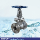  API Stainless Steel Gate Valve