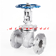  DIN 3352 RF Gate Valve, En 1984, DN250, Pn63, Stainless Steel Wcb Alloy Ti Gate Valve