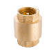  High Quality Forged 1/2 Inch to 4 Inch Brass Vertical Lift Check Valve, Brass Spring Check Valve