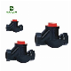  Non Return Valve Cast Iron Lift Check Valve