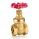 Factory Wholesale Full Size Threaded Forged Brass Gate Valve for Water Control