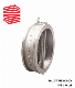  H77X Soft Seal Butterly Wafer Check Valve