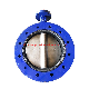 U Type Concentric Butterfly Valve Big Sizes with Vulcanized Seat