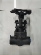 Flanged Forged Steel Check Globe Gate Valve