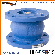  Ductile Iron Flanged Silent Check Valve Pn10 Pn16