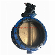 DIN3202 Long Typedouble Flange Concentric Butterfly Valve for Marine