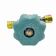  CNG Compressed Natural Gas Cut off Valve