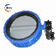  Low Pressure Rubber Seated Butterfly Valve Worm Actuated with Break Proof Structure