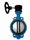 Wafer/Lug/Swing/Grooved End Type Butterfly Valve/Check Valve