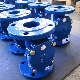  Professional Low Price Ductile Iron Rubber Disc Check Valve Swing Tilting Plate Non Return