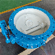  Slowly Closing Tilting Disc NBR Sealed Tilting Disc Butterfly Check Valve with Damper