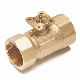  2 Way/3 Way Brass Motorized Ball Valve