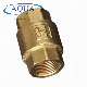  Female Thread Brass Spring One Way Non Return Check Valve