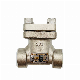  Cryogenic Check Valve Swing Check Valve Ball Valve for Ln2 Application