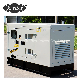 8kVA 10kVA 15kVA 20kVA 25kVA 30kVA Silent Cabin Cabinet Diesel Power Electric Generator Power by Perkins Engine