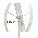  500W 1kw 2kw Small Mini Vertical Wind Generator Turbine for Sale