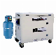 Slong Silent 10kw 12kw Generator Pure LPG / Natural Gas Generator