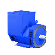  224 Series Brushless Alternator for Diesel Generator 32kw 40kw 48kw 58kw 68kw with Fancy Price