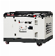 Common/Digital/ATS Standby Unit Hi-Earns Carton CE, ISO Power Diesel Generator